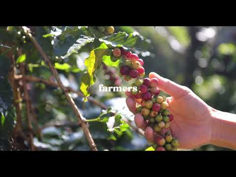 We Are One Village Coffee: Farmers, Roasters, Coffee Lovers