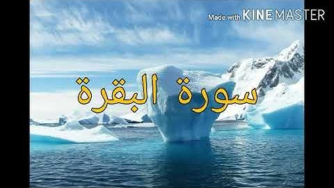 سورة البقرة كاملة تلاوة تهتز لها القلوب للقارئ بيشةوا قادر الكردى Surat Al Baqara