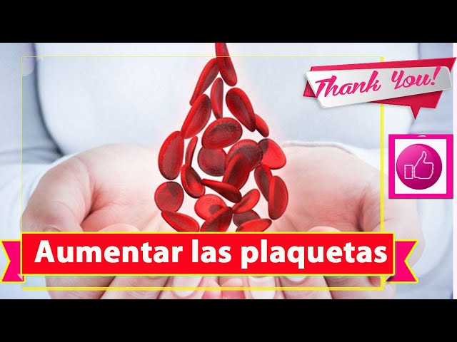 Alimentos para subir las plaquetas