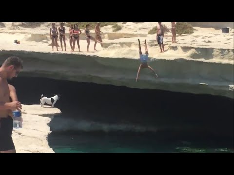 The Maltese Cliff Diving Champion Dog Jumps Off Cliff With Cliff Jumpers