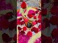 भोलेनाथ#views#love#viral#blessed#bholenath#mahadev#reelsindia#reels#trending#shorts#video#viralmusic