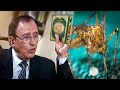أشهر و أكبر بروفيسور ملحد في العراق يعلن إسلامه و يزلزل العالم بعد أن اكتشف سرا خطيرا في بعوضة