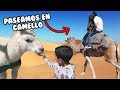 Alimentando Animales | Primera vez en un Camello | Family Juega