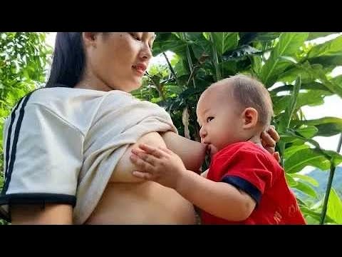 Full Video - The life of a single woman harvest and selling agricultural products - Build  new life