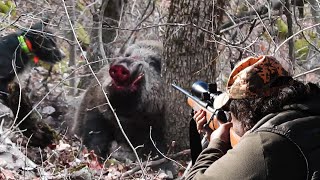 DOMUZ AVI PART 2 - WILD BOAR HUNTING