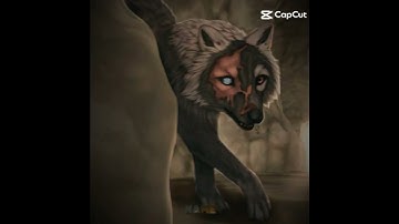 The beauty of Wildcraft (Part 1)