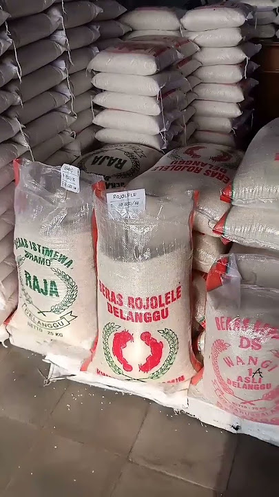 BELI BERAS LANGSUNG DI DISTRIBUTOR DELANGGU #shorts #beras #distributor #sembako