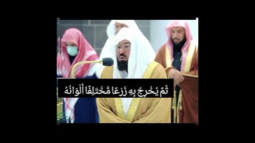 القرآن الكريم◇  الشيخ عبد الرحمن السديسي ◇ {سورة الزمر ٢١}