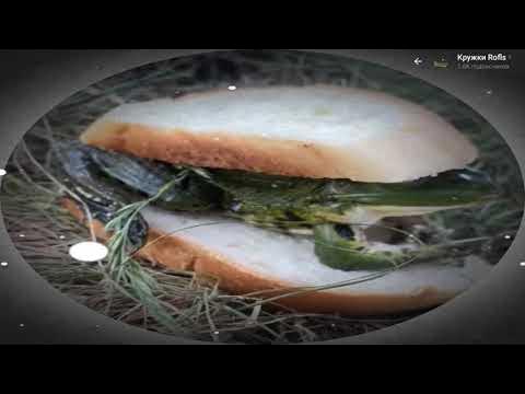 Попросил друзей сделать бутерброды - YouTube
