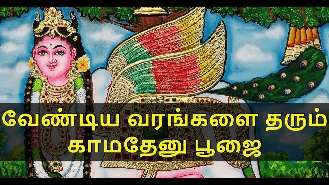 காமதேனு பூஜை Kamadhenu Poojai Kamadhenu Pooja Kamadhenu Pooja in