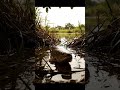🔥 Fish Bites 06 2K - You Won't Believe This! ✨