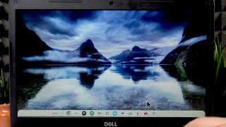 Comment réparer le pavé tactile du DELL Chromebook 3400 (pavé tactile ne répond pas)