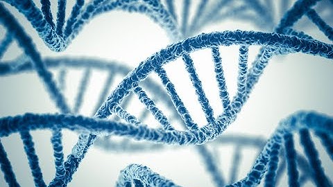 Basic Introduction to Strand Displacement Amplification