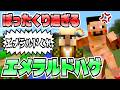 5日目【マインクラフト】もう俺、村人でいいや～楽園編～【実況】