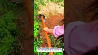 Weed Cutting Tools Deliver 3X Faster Results with a 16-Inch Heavy-Duty Steel Blade