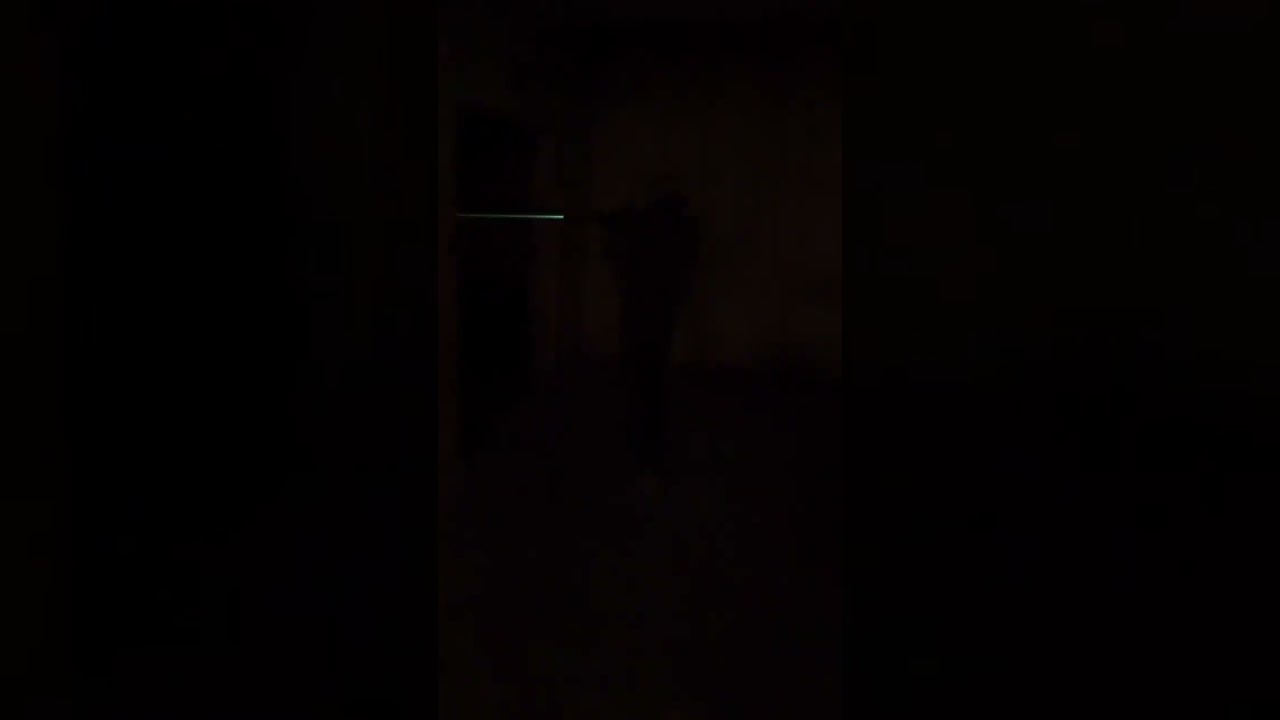 Shaggy laying down fire