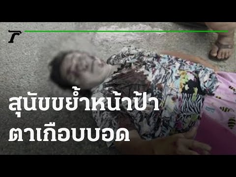 สุนัขขย้ำหน้าป้า - ตาเกือบบอด | 11-12-64 | ไทยรัฐนิวส์โชว์