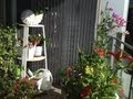 Make a Tall Three Shelf Plant Stand Make a Tall Three Shelf Plant Stand