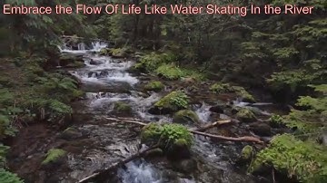 Embrace the Flow of Life like a river, not the stillness of a stagnant pond   #lifequotes