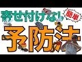 イヤな不快害虫【TOP3】といなくなる簡単な予防対策