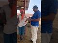 गौशाला मे काम करने वालों की सेवा 🫂🫂#viral #help #helpthemfoundation #helping #happy #youtubeshorts