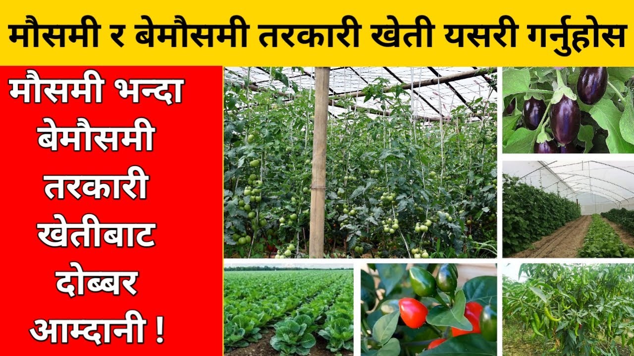 Onlayn porno anal jinsiy aloqa dan cumshots tashqariga tortmasdan eshakda kamming bir kompilyatsiya