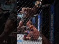 🥊🔥 best mma fight ever 😱💥 brutal ufc knockout moment #ufc