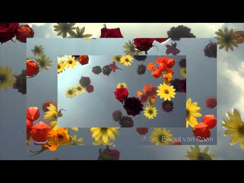 Zweefbloemen