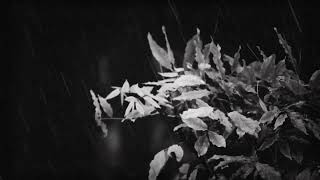 Go to sleep fast with rain + gently warm piano music relaxing 😌