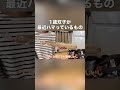1歳双子が最近ハマっているものが渋すぎる件