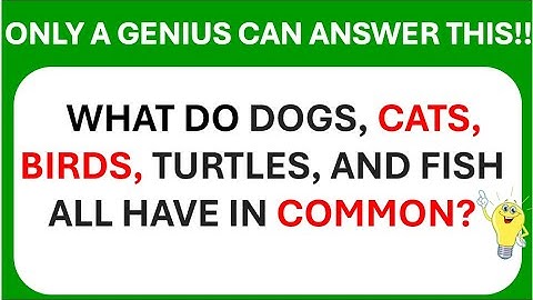 FUNNY AND TRICKY RIDDLES | INTERESTING RIDDLES FOR CHILDREN AND ADULTS | RIDDLE CHALLENGE |