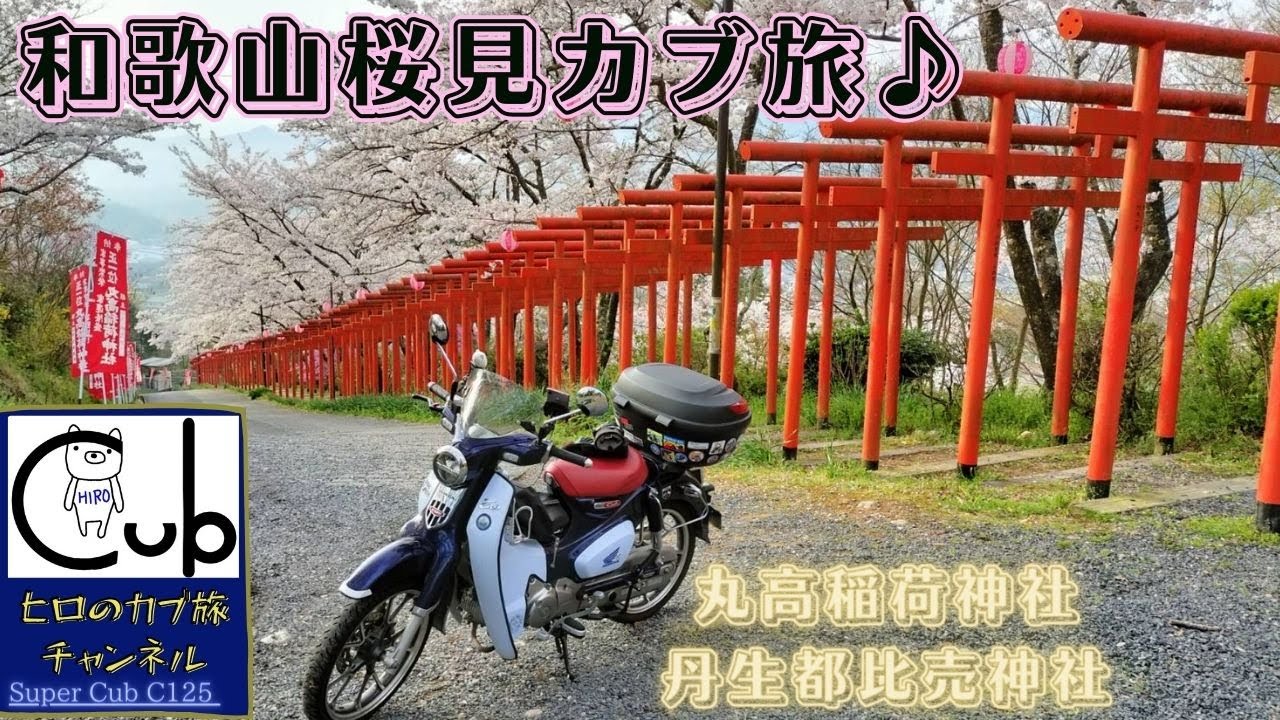 Travel solo from Osaka to Wakayama on a Super Cub to see the