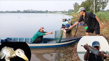 Săn băt gà đồng và cắm câu cá mùa nước nổi bữa nay trúng mánh cá to