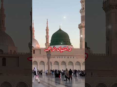 انشودة في حب الحارث النمر Shorts