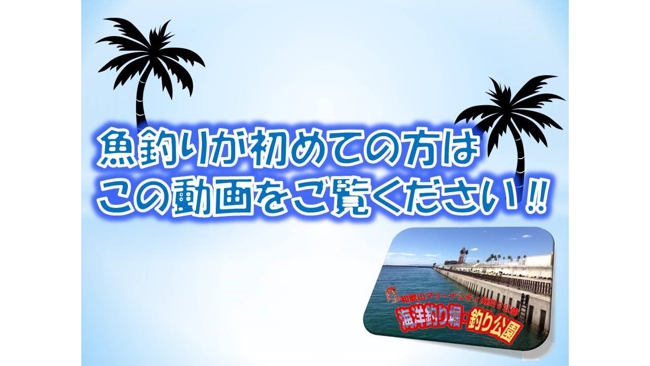 マリーナ 釣り 和歌山 シティ