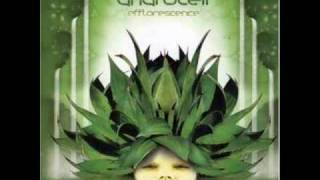 Androcell - Neurosomatic circuit