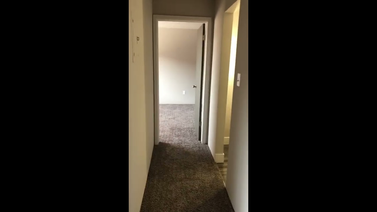 Willowbrook Newly renovated 1 bedroom apartment YouTube