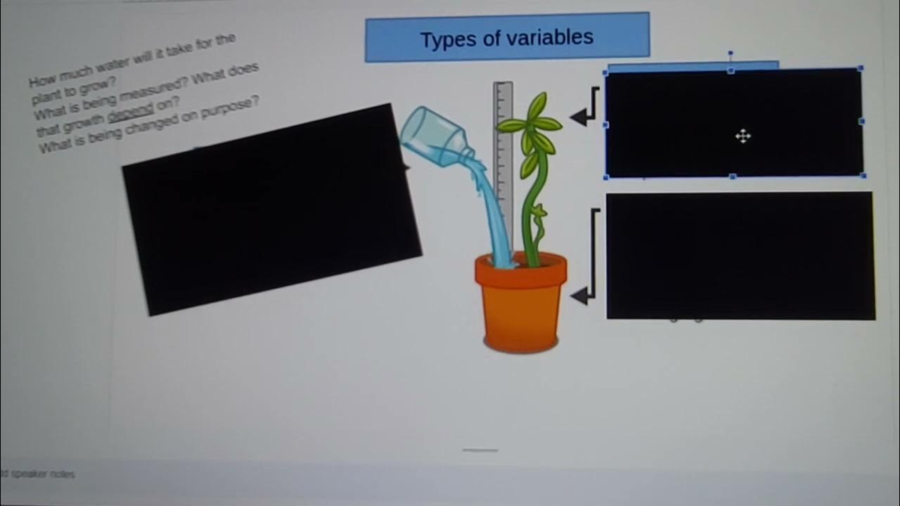Independent dependent controlled variables youtube