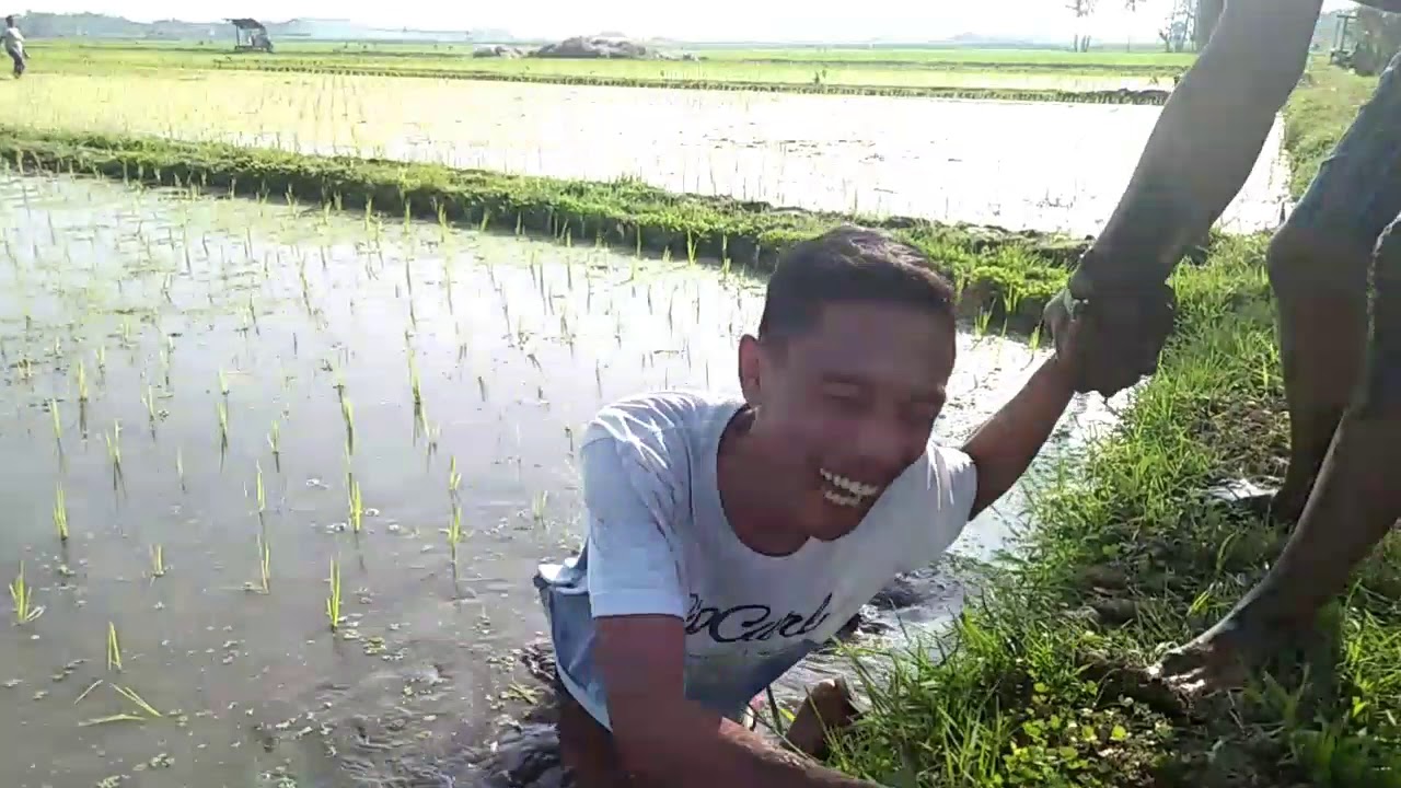 VIRAL!!!  Mancing belut berujung apes 😂    