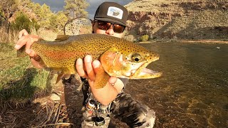Fly Fishing Utah’s Green River for BIG Trout!!!