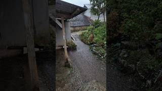 AR - The Rain
