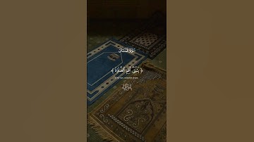 أكتب شيء تؤجر عليه ♥ | #قرآن #تلاوة_خاشعة #اسلام_صبحي #راحة_نفسية #تابعوني #اكسبلور #لايك