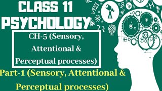 Class 11 Psychology Chapter-5 || Part-1 (Sensory, Attentional & Perceptual processes) || Text book