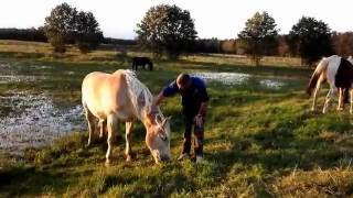 Celebrity TARA august 2016 eng. version Net Worth