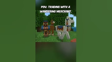 POV: Trading with a wandering merchant. #minecraft #minecraftshorts