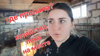 Обзор хозяйства 2022, продаем телку и бычка 🐮