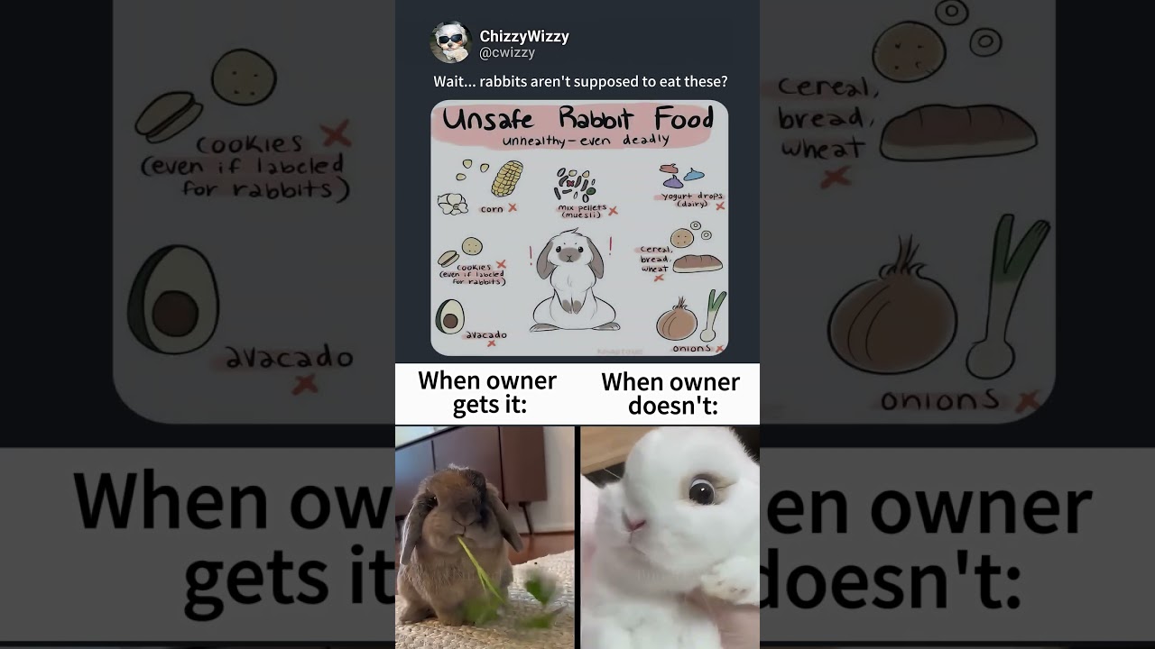 Rabbits Can't Eat These 🐰