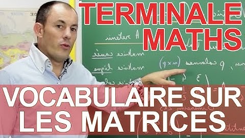 Vocabulaire à connaître sur les matrices - Maths terminale - Les Bons Profs