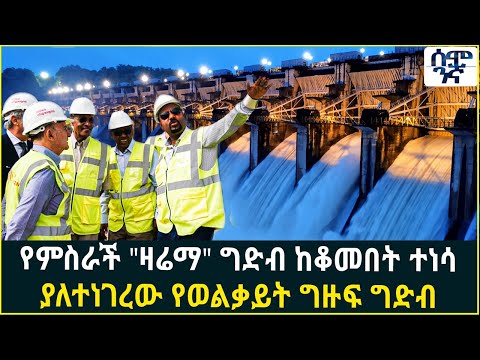 ቪዲዮ: ግዙፍ ኢሶፖዶች ይነክሳሉ?