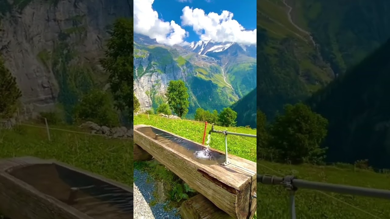 Fly Pakistan Best Reviews For Hotel Bookings | Latest 2022